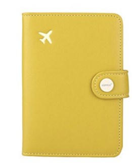 passport holder creative aircraft